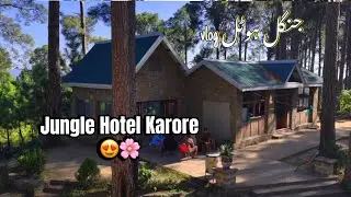 Jungle Hotel Karore//Hidden Tourist Spot Near Islambad #villagevlog #junglevlogs #junglehotelkarore