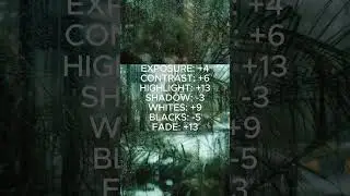 How to color grade in Capcut part 6