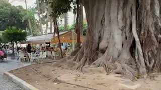 UN PASEO RAPIDO POR AGUILAS, MURCIA .2022