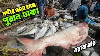 পুরান ঢাকার নয়াবাজারে মাছ কিনতে মানুষের ঢল |  Fish Market Nayabazar 2026