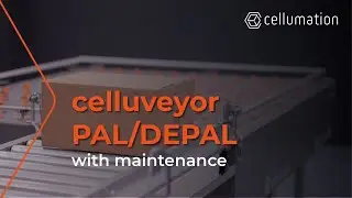 celluveyor PAL/DEPAL with maintenance by cellumation