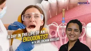 Building a Career as an Endodontist | Mentoria