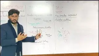 Diabetes Mellitus and its Types 