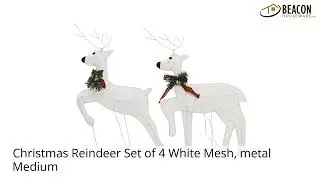 Christmas Reindeer Set of 4 White Mesh metal Medium