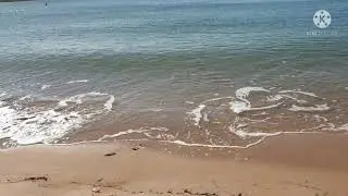 RABY BAY FORESHORE PARK, CLEVELAND,QUEENSLAND, AUSTRALIA🇦🇺
