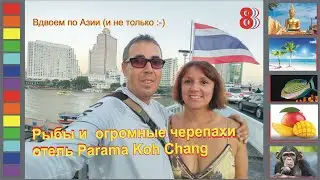 [Гл.8] Бесплатные Черепахи!!! Юго-Восточная сторона Ко Чанг. Отель Parama Koh Chang.