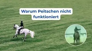 Warum Bestrafung mit der Peitsche beim Pferd nicht funktioniert | Lerntheorie erkl&auml;rt