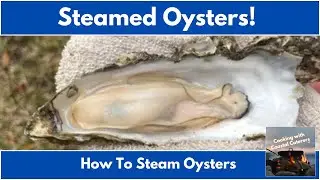 HOW To COOK Oysters - STEAMED Oysters