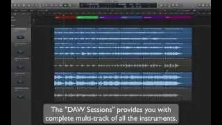 Echo  Cinematic Pop Guitars Multi Format