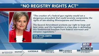 Mississippi Senator introduces bill to prohibit national gun registry list