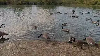 GoPro Series:  First Person Feeding