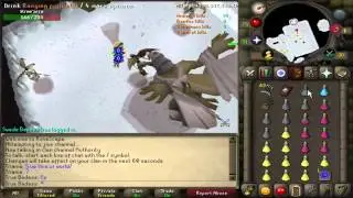 45 Defence Zerker Soloing Kree'arra