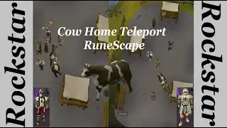 [OSRS] Cow Home Teleport Gu&iacute;a en espa&ntilde;ol (2020)