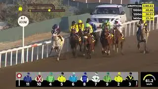 Jebel Ali 291125 Race 6