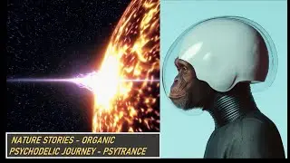 NATURE STORIES - COLD LIFE OF A POLAR BEAR - ORGANIC PSYCHODELIC JOURNEY - PSYTRANCE