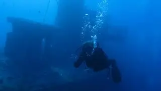 Diving the Sea Tiger Shipwreck by Hawaii Eco Divers