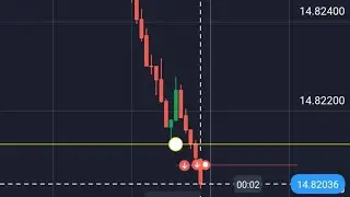 SNR Trading binary 