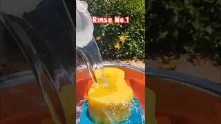 Rinse No.1🧽Squeezing sudsy sponges❤️🩵💛Suds galore #shorts #spongerinse #asmrsponge #spongesqueezing