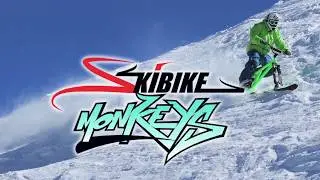 SKIBIKING with friends Vol.2 / 2016 / 2017