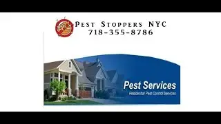 Home Pest Control Services Brooklyn NY-Pest Stoppers