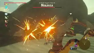 Molduga and Molduking Fight