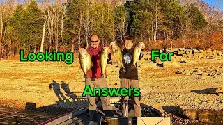 Fishing in MineLick on Center Hill Lake