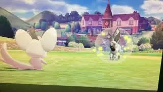 Steel type eeveelution leak is fake!