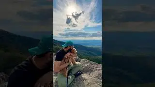 Hiking Highs & Puppy Vibes in Shenandoah Virginia Mountains #hike #viral #summer #travel #fun #vibes