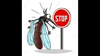 Montserrat vector control mosquito breeding site inspection