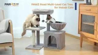 Unleash Endless Fun with the PAWZ Road 28.5'' Tall Kitten Cat Tower （AMT0208）