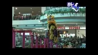 吉隆坡光艺醒狮团 Kwong Ngai Lion and Dragon Dance Association