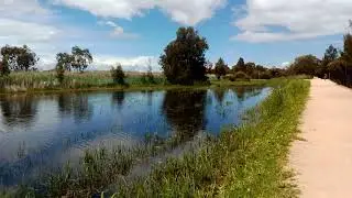 Edithvale Wetlands 