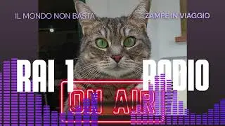 Gigia intervistata da 