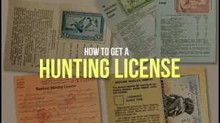 How to Get a Hunting License In Person or Online in 2024