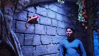 Love your family, work super hard, live your passion#youtube #travel #shortvideo #banglore 