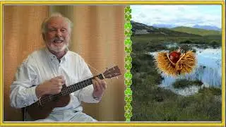 Rattlin Bog. Ukulele. Words and chords attached.