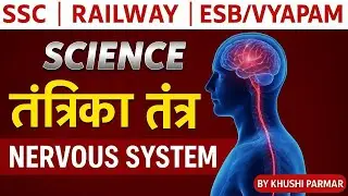 Nervous System in One Shot 🔥 | Railway, SSC, State Exams ke liye Most Important Biology