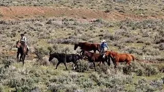 The sights and sounds of the Great American Horse Drive 2018