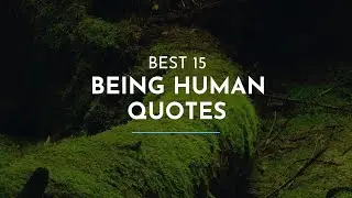 Best 15 Being Human Quotes  / Good Quotes / Great Quotes