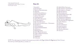 Week 28: Learning and Practicing Iyengar Yoga for Beginners