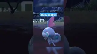 I Found a SHINY Sobble!