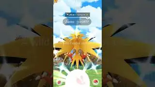 No way I got a✨ shiny zapdos in field research#shiny zapdos#