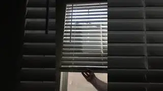 How to [Window cleaning- Some blinds do not have strings and should be guided up and down]