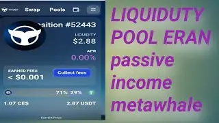 Meta whale w-dex liquid se passive income Bina trade kiye Kaise kamae #metawhale