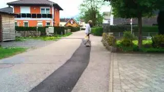 Skateboard mit Propellerantrieb