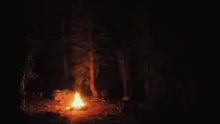 უმადურობიდან, მადლიერებამდე