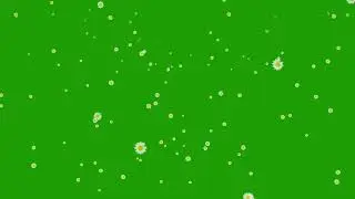 Flowers Waterfall | Royalty-Free | Free for Commercial Use