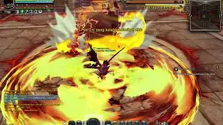 DN solo nest TKN Hc Dark Avenger