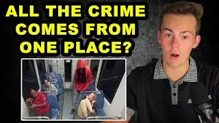 The Truth About Black on White Crime