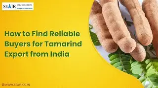 How to Find Reliable Buyers for Tamarind Export from India